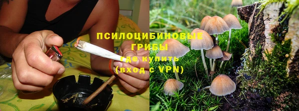 метадон Богородицк