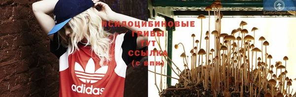 не бодяженный Богданович